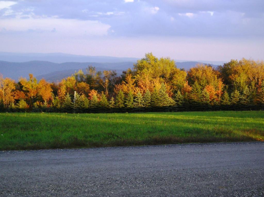 Cooper Hill Inn East Dover Luaran gambar