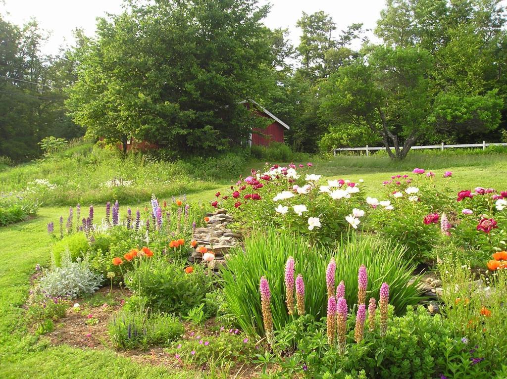 Cooper Hill Inn East Dover Luaran gambar