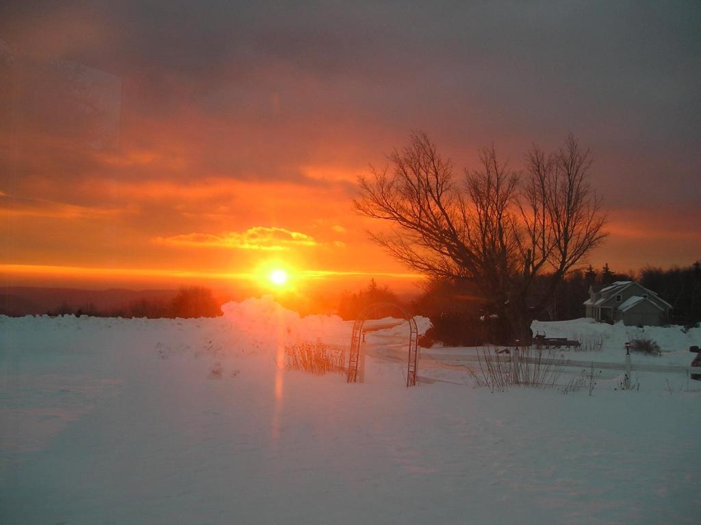 Cooper Hill Inn East Dover Luaran gambar